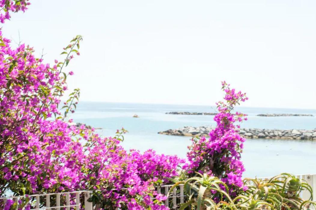 Giardino In Citta; Centralissimo * San Remo