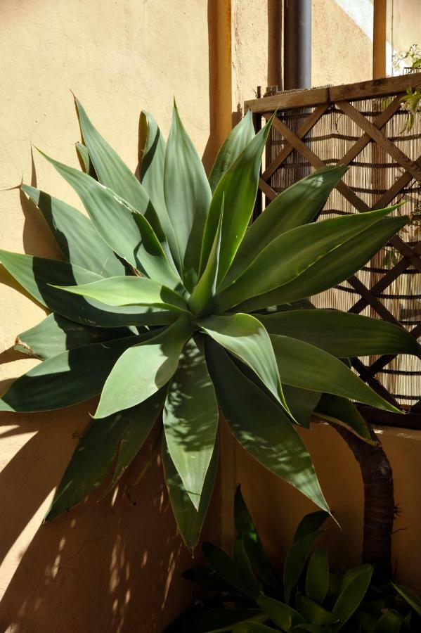 Appartamento Giardino In Citta; Centralissimo Sanremo